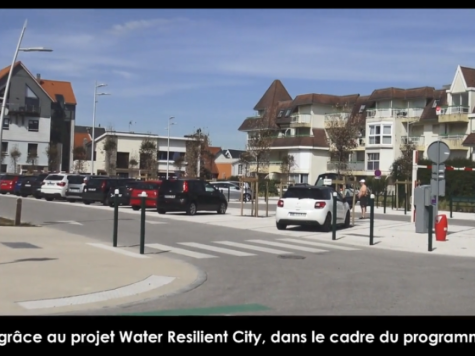 video screenshot